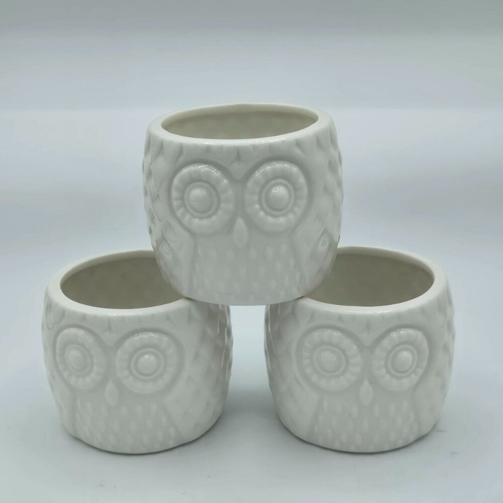 Set of 3 small adorable white ceramic owl planter Succulent Pots WHIMSICAL!